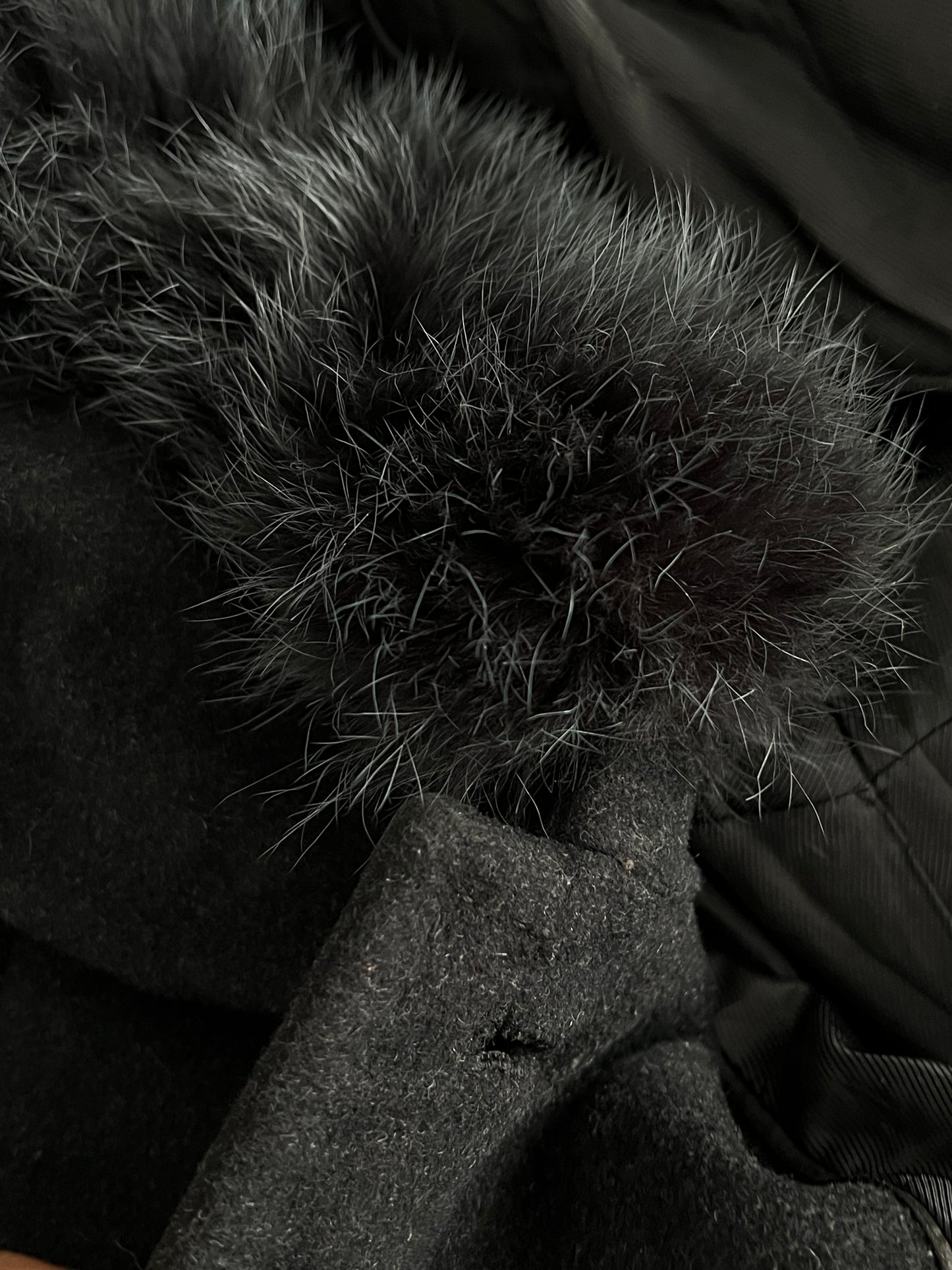 Coat 🚀