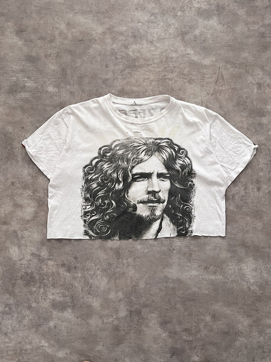 Vintage 70's Led Zepellin Robert Plant Croped (M)