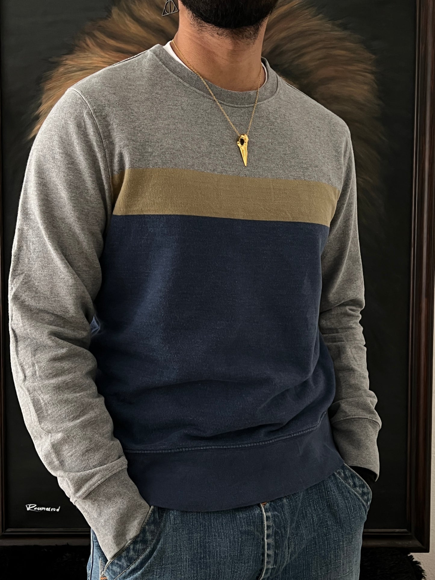 Tricolor Sweater GAP (M)