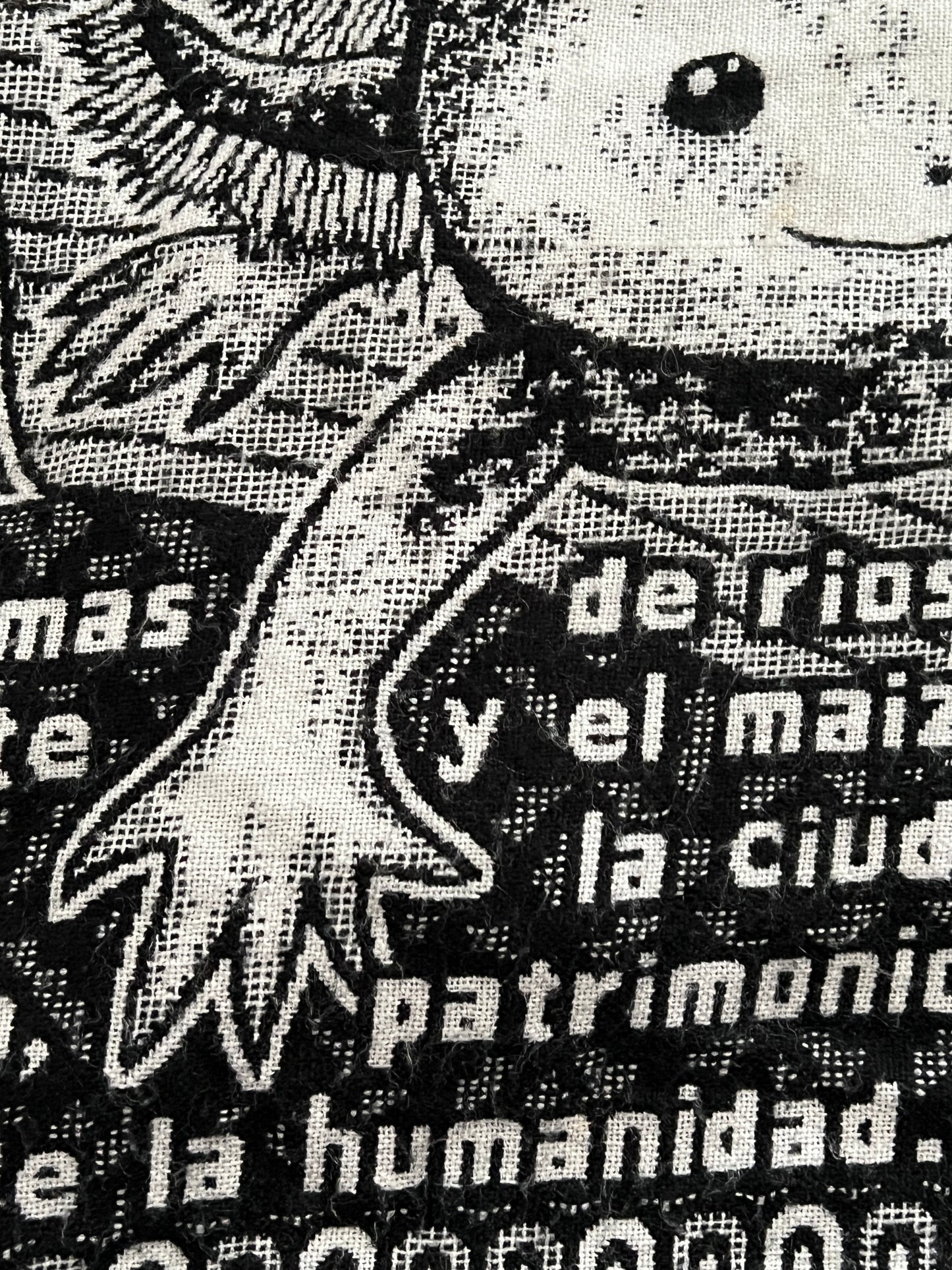 PONCHO AXOLOTE