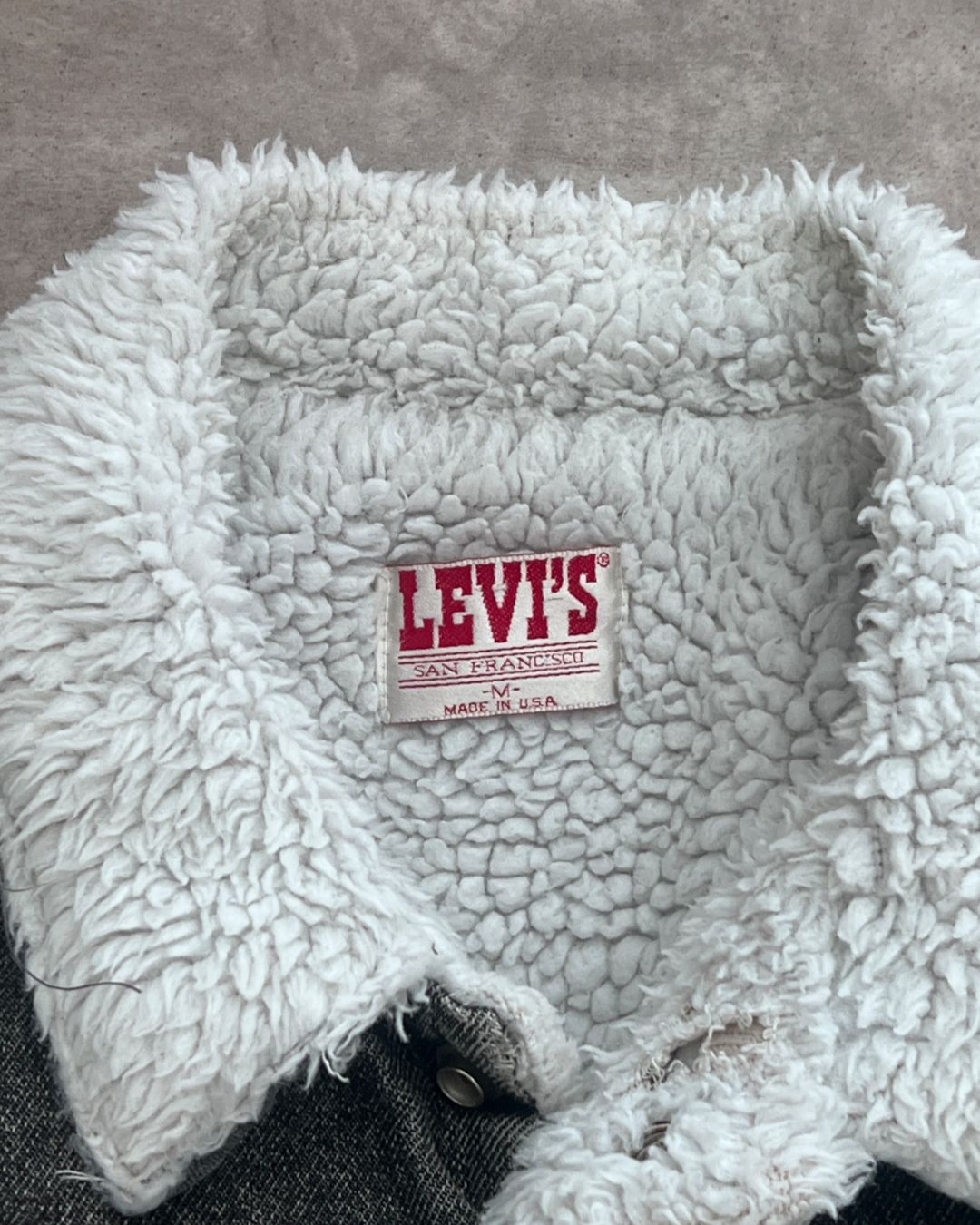 VINTAGE SANTA CRUZ SHERPA JACKET LEVI'S (M)