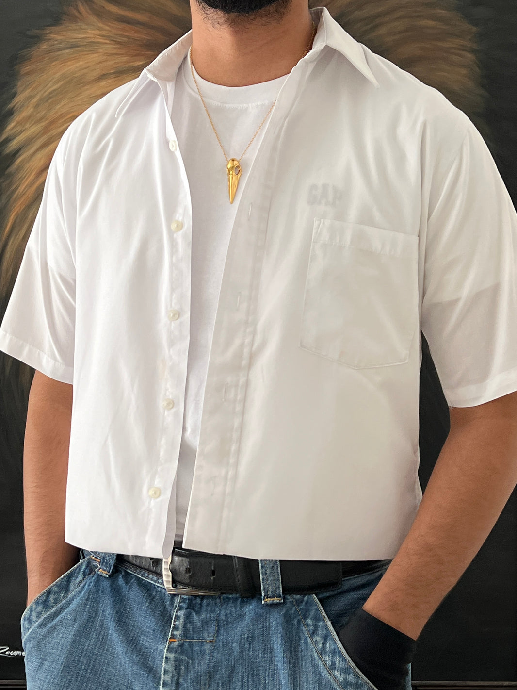 White Shirt / Cropped Fit (S)