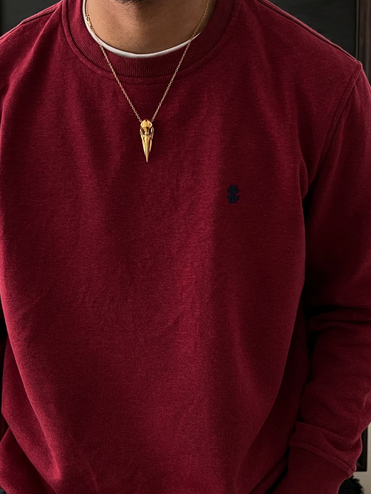 IZOD sweater (L)