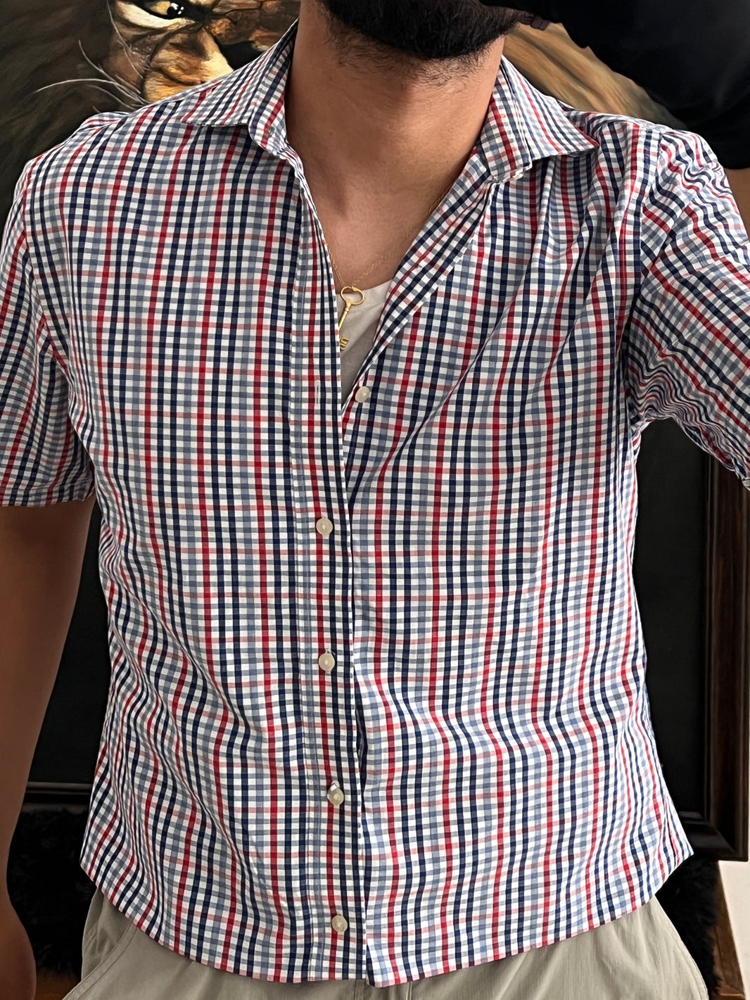 Shirt Tommy Hilfiger Cropped Fit (S)