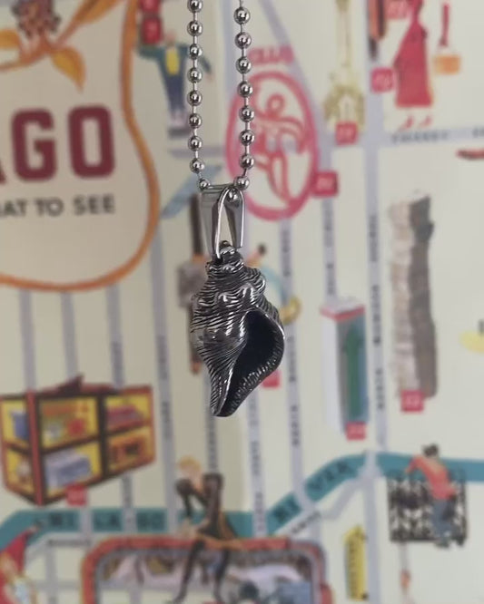 Collar de caracola 🐚